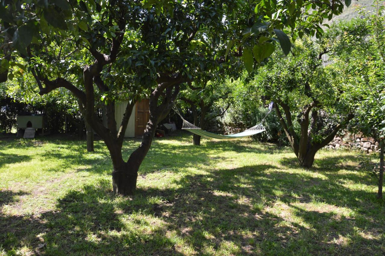 La Casa Di Barry Bed and Breakfast Pozzuoli Esterno foto